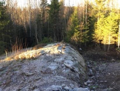 overgang til skog som framtidig boligfelt. Viser berg med tynt jorddekke.