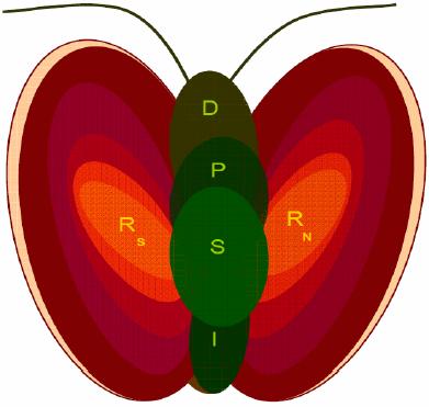 DPSIR - konsepsonelt rammeverk Drivers: aktiviteter for å nå kortsiktige sosiale mål- det gode liv Pressures: Klima, vannveier, ekstremvær State: Miljøstatus i vassdrag Impacts: