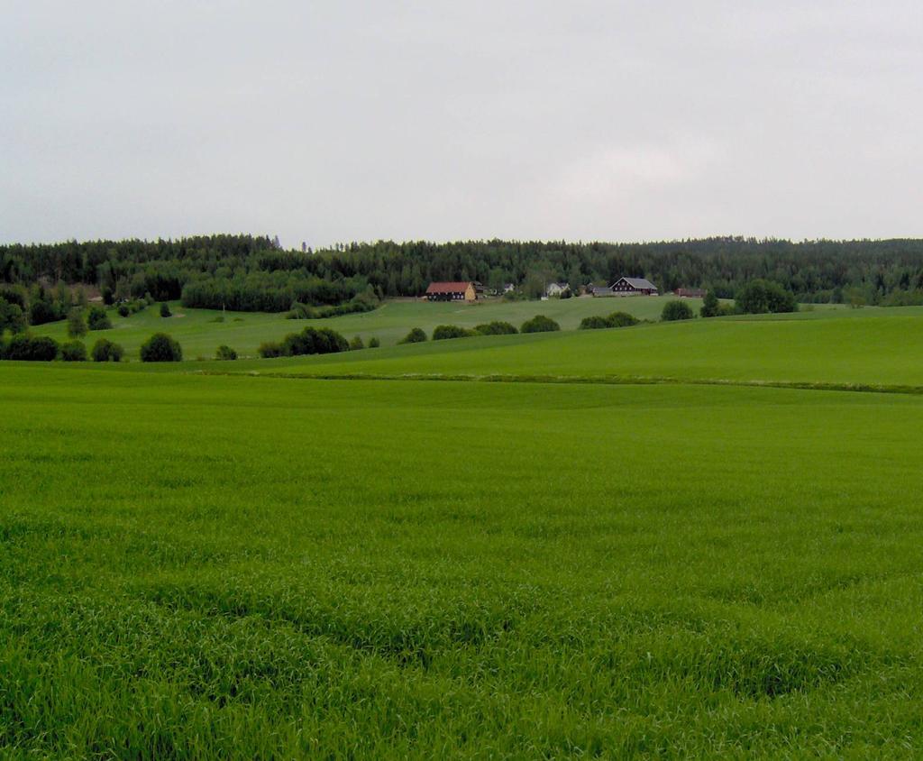 Anbefalte tiltak II Åkerriksevennleg drift I viktige åkerrikseområde På fulldyrka og overflatedyrka areal eller på gjødsla innmarksbeite (Støtte for område som er meir ekstensivt drive frå pengar som