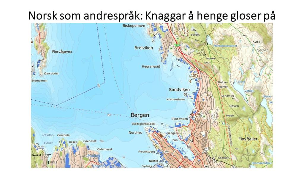 Dersom innlæraren får forklart dei namna han eller ho møter i dagleglivet,