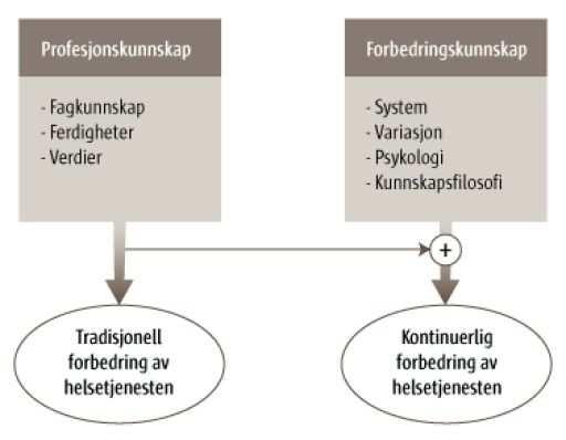 Stoltz og Batalden understreker derfor at forbedringskunnskap må ses på som et eget kunnskapsfelt som må supplere profesjonskunnskapen.