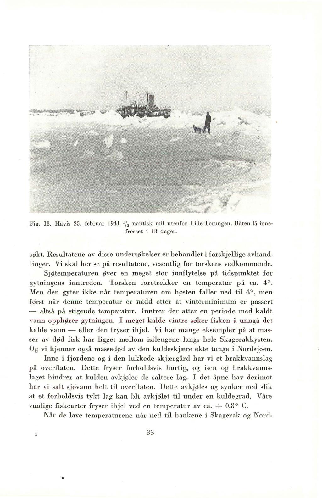 Fig. 13. Havis 25. februar 1941 1 / 2 nautisk mil utenfor Lille T01 ungen. Båten lå innefrosset i 18 dager. søkt. Resultatene av disse undersøkelser er behandlet i forskjellige avhandlinger.