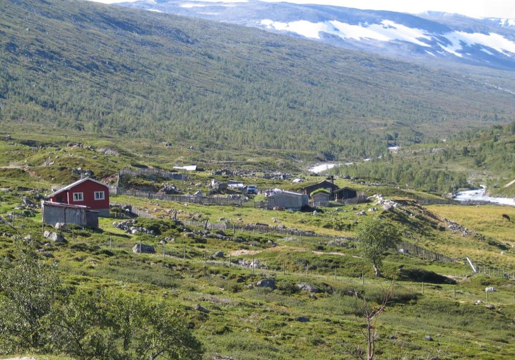 3 RESULTAT Den gamle seterstua på Eisarsetra i