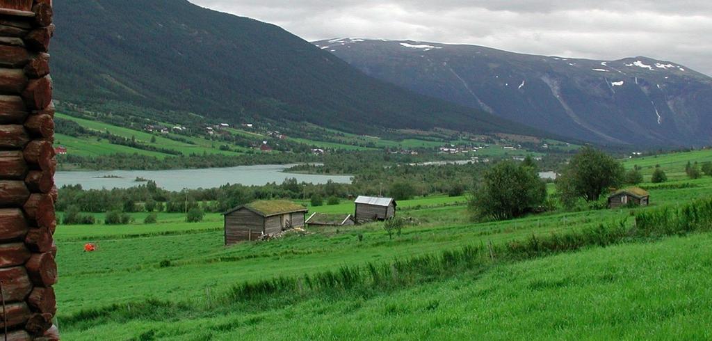 Den skal være fra 1700-tallet og har stått på