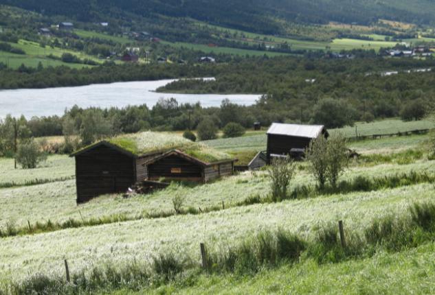 Setra er en av få i Skjåk i tradisjonell drift.