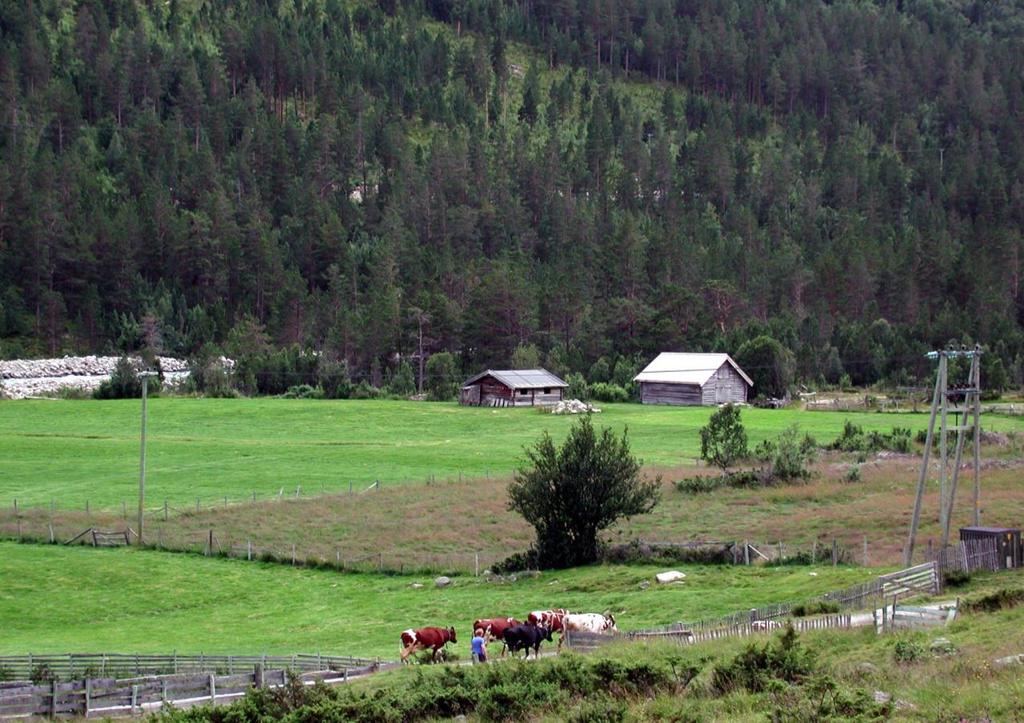 GAMLE HUS DA OG NÅ, 2.