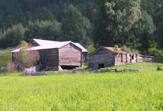 (0513-007-053) De to stuebygningene på husmannsplassen Blikka var i svært dårlig