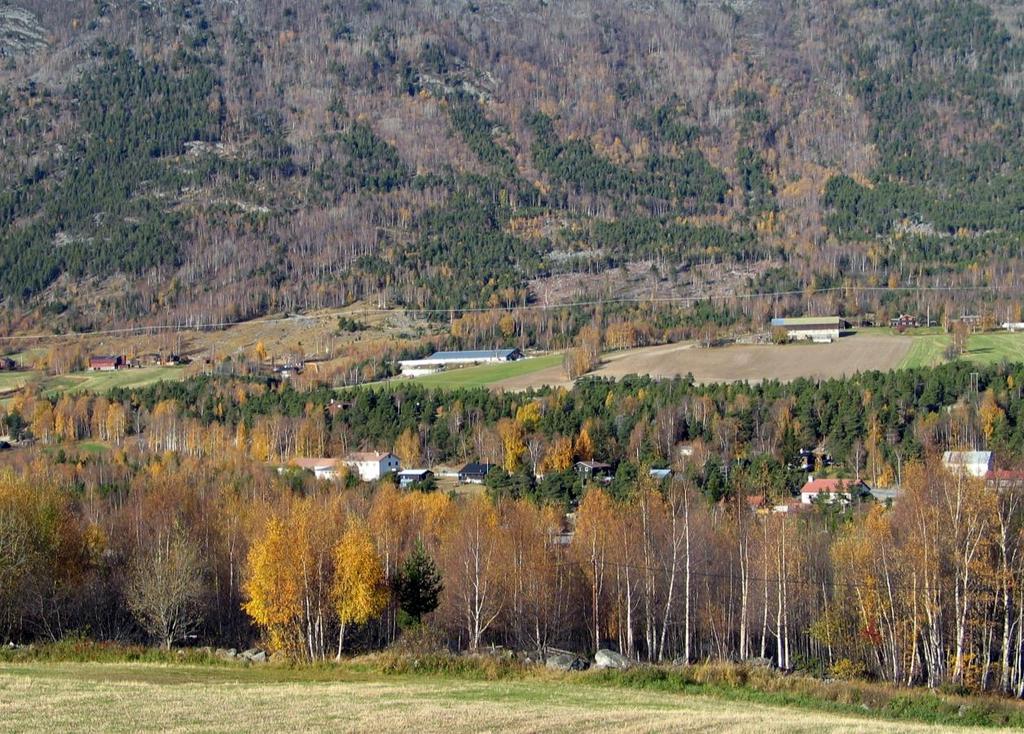 (0513-003-016-021) Fellesfjøset til Einingje Samdrift AS ble ferdig i 2005 og er et samarbeid mellom seks