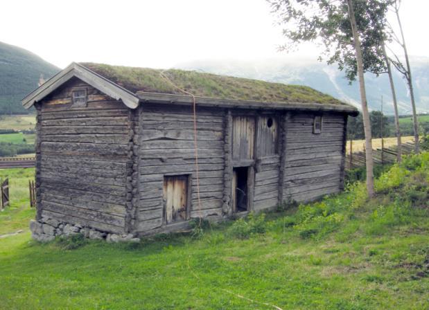 5 UTVIKLING OG TENDENSER Det er tørt i Skjåk og torvtakene trenger vanning.