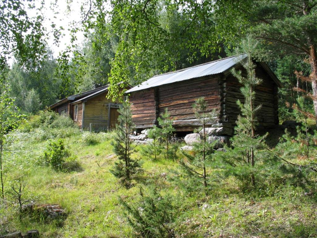 til tillatte antall bolighus i tunet når det involverer gamle hus.