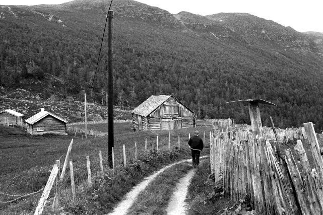 rapporten "Billingen stadanalyse og utviklingsmoglegheiter" var det et allment ønske hos setereierne å erstatte trådgjerdene med stakitt.