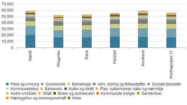 Vurdering for kommunen Utgifter og formål sammenlignet med andre Ringerike Rana Harstad Nordland Kostragruppe Pleie og omsorg 20 6 16 348 16 364 17 682 16 872 16 356 Grunnskole 14 068 646 12 518 13