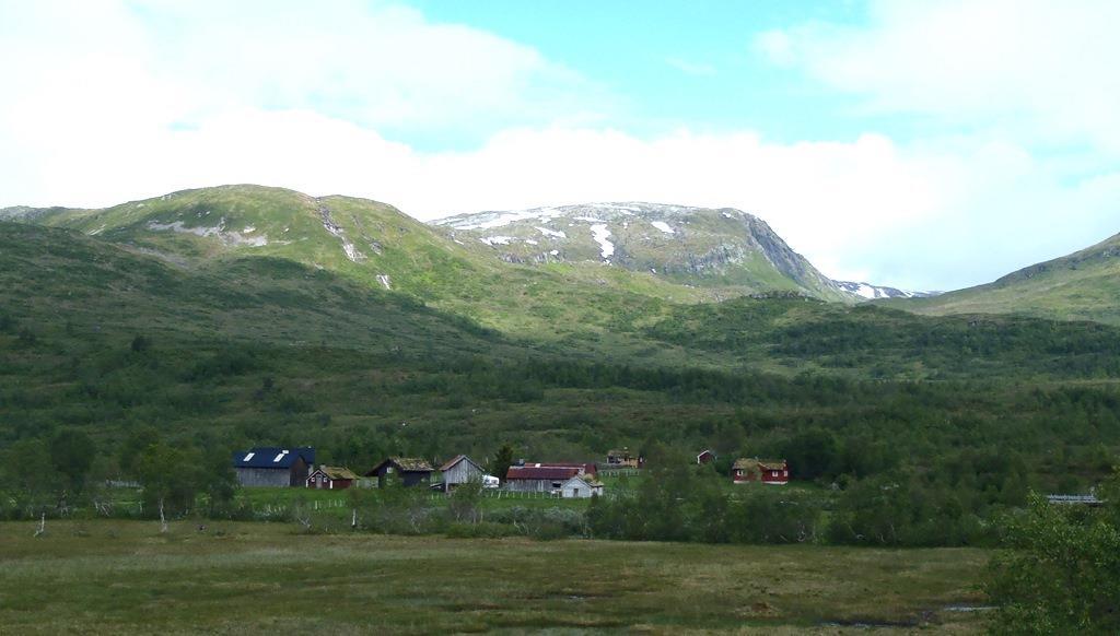 : Tom Dybwab, Fylkesmannen i Sogn og Fjordane, Line Novstad, Direktoratet for Naturforvaltning,