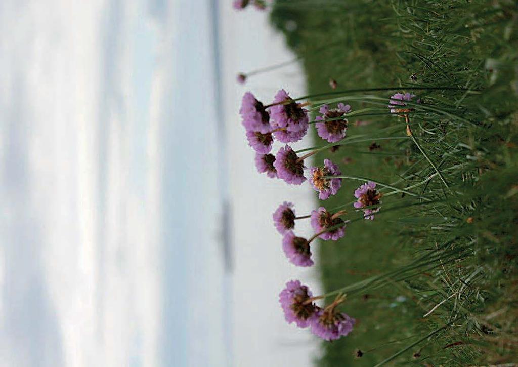 Jeløy menighetsblad Nr.