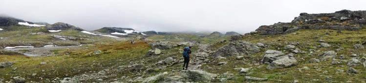 Bare følg med på nettet og i Fjell og Vidde. Inne i dette bladet står det en utlysning på 4 områdekontaker (OK). Disse har ansvar for hvert sitt fjellområde i en 3-års periode.