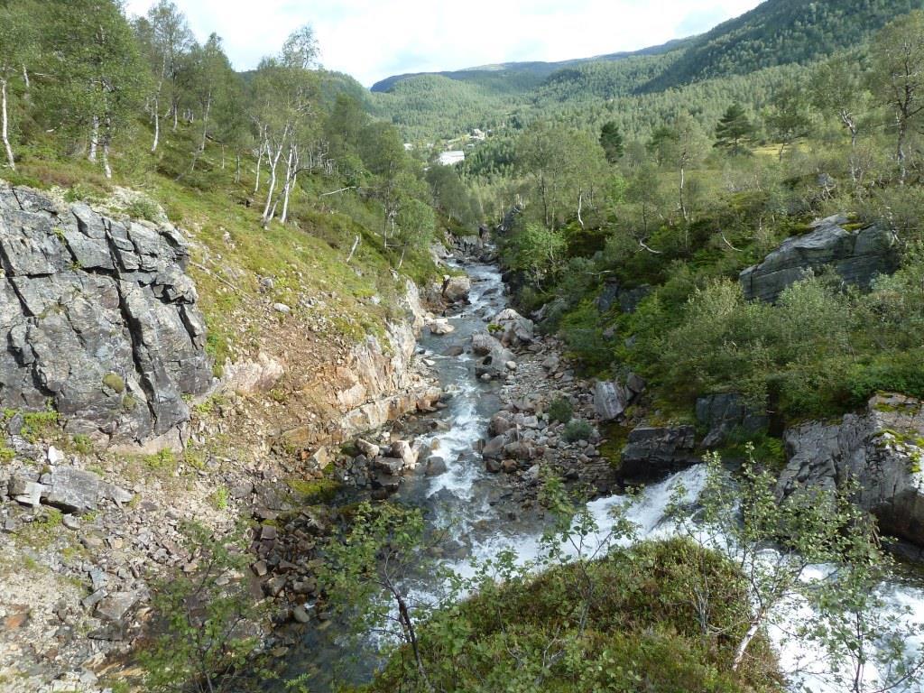 Partiet vurderes derfor ikke å tilsvare naturtypen bekkekløft og bergvegg (F09). Det er flere små fossefall i nedre del av elva og en større foss ved høydekote 640 m.