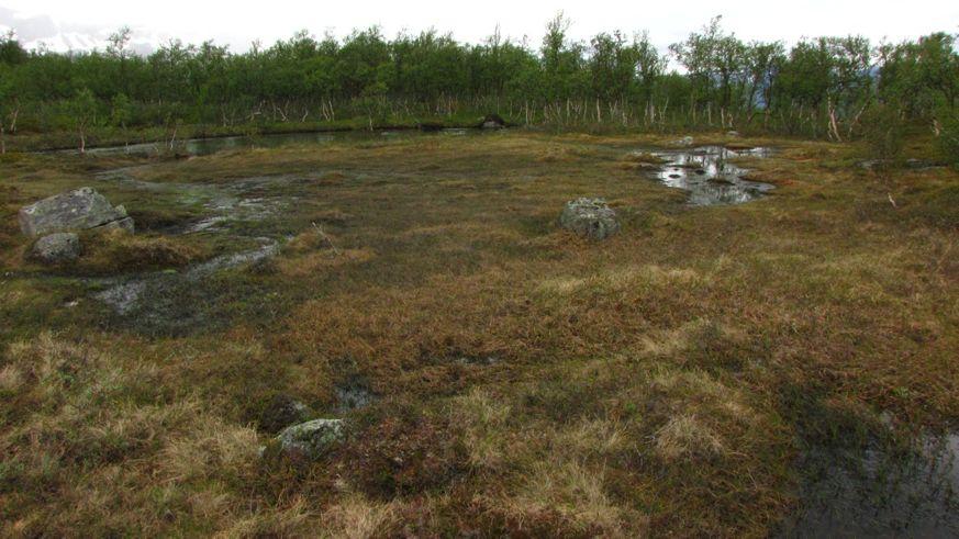 Det vil også bli etablert anleggsvei opp langs rørgata, men denne kan om ønskelig bli fjernet etter anleggsperioden.