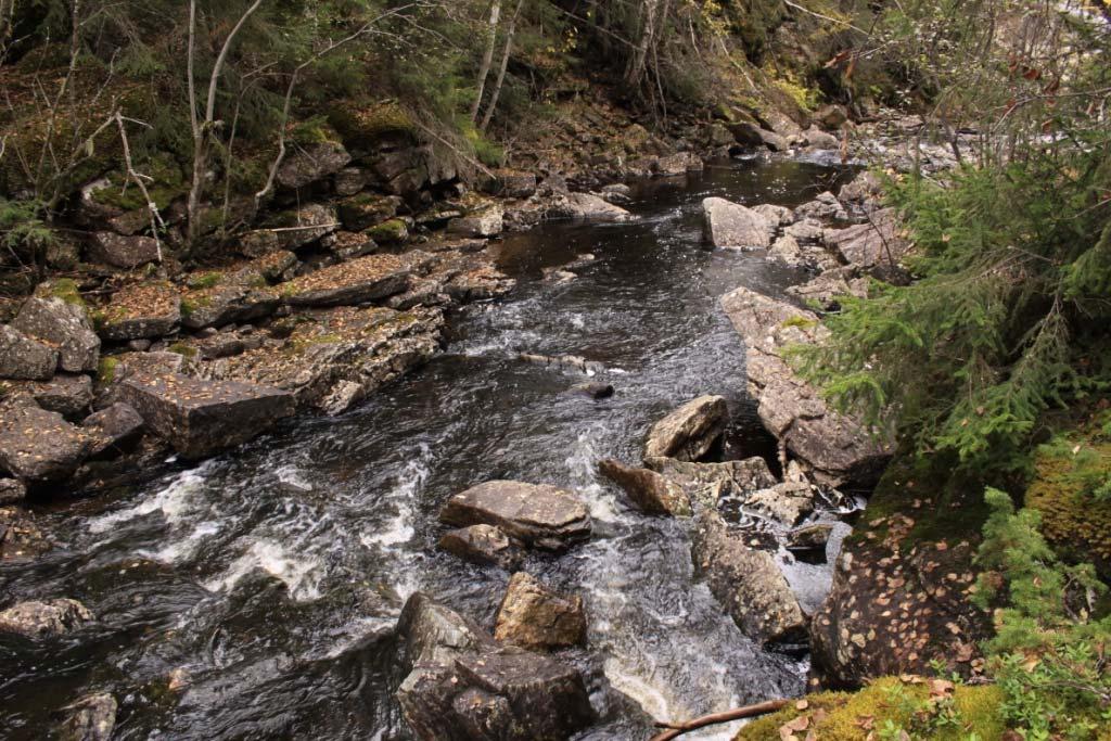 2010 Undersøkt av: Geir Høitomt Beliggenhet: lokaliteten ligger rett nedstrøms fossen som dannes i Fallselva på Brennabakka.