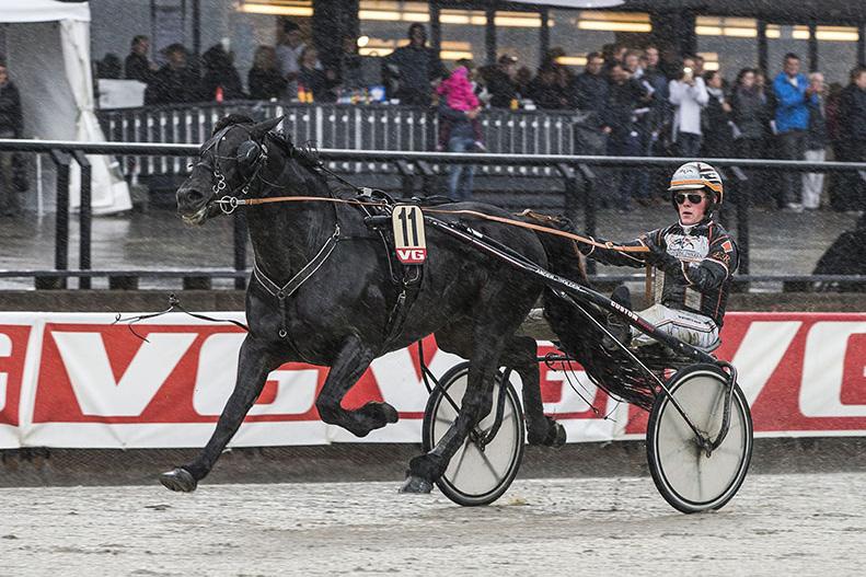 GRATIS INNGANG Nr 85/2017 Kr 25 Varmingsinfo fra Ole onny Solberg ERKEANEN Nasjonalhestens pokalløp jerkebanens stayerløp Foto: Hesteguiden.com www.bjerke.no Lørdag 7. oktober - 1. løp 13.