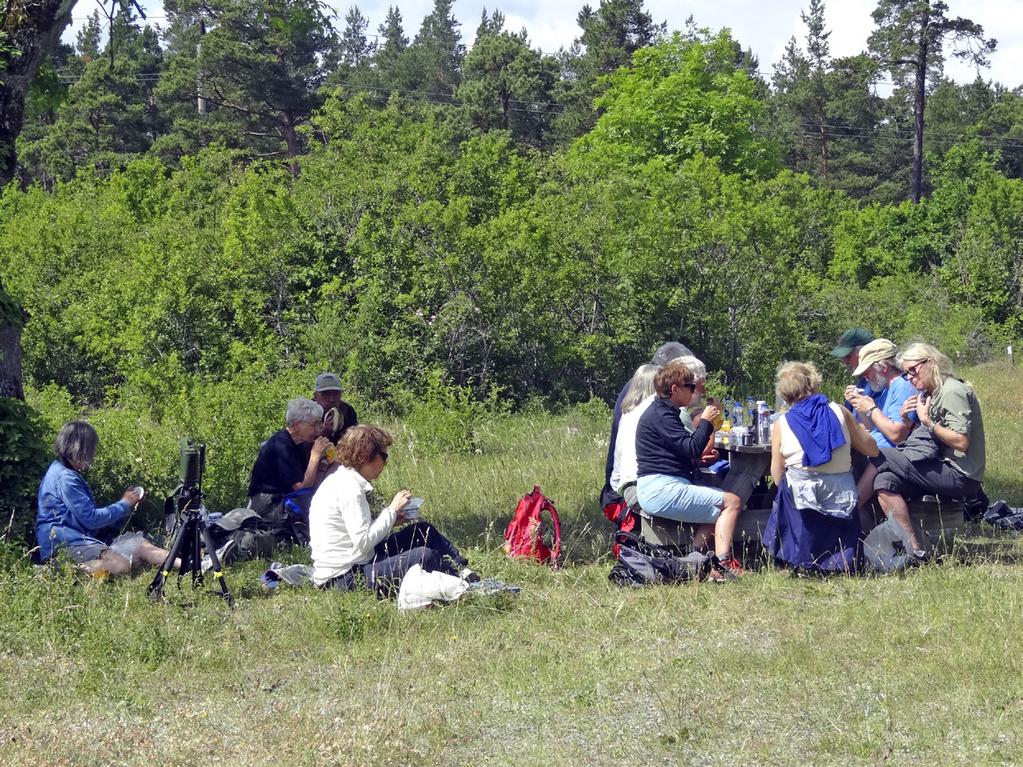 Visne ängar Lunsjen inntok vi i det fri, ved Visne Ängar. Det er et flott gammelt kulturlandskap med spredt løvtreskog.