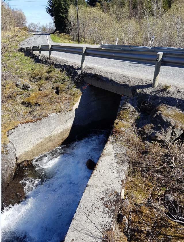 Delområde 1-3 Mølnkjosen - Indre Hamn Ved profil 6800 er det dårlig sikt gjennom kurven.