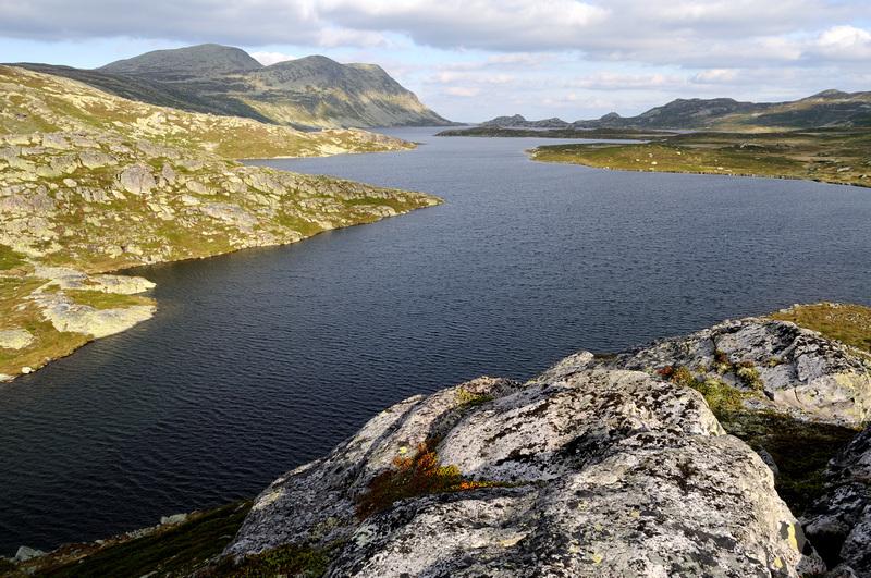 1.4 Beskrivelse av området Gjuvåa har sitt utspring i fjellområdene øst for Gaustatoppen. Området er dominert av snaufjell, ur, steiner og lite vegetasjon, og er rikt på små og store vann.