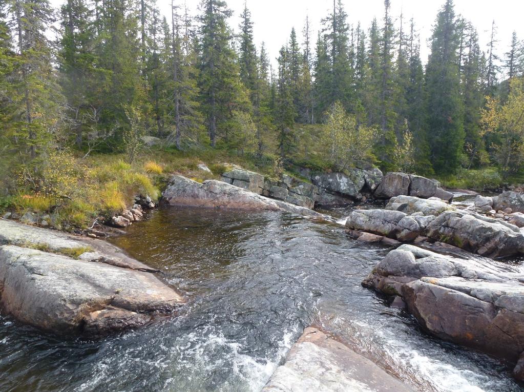 løsmassedekke. Ved utløpet i Bjårvatn består grunnen av løsmasser fra elveavsetninger.