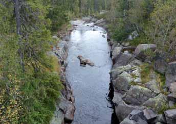 12 Vannføring: 3,9 m 3 /s Dato: 12.09.