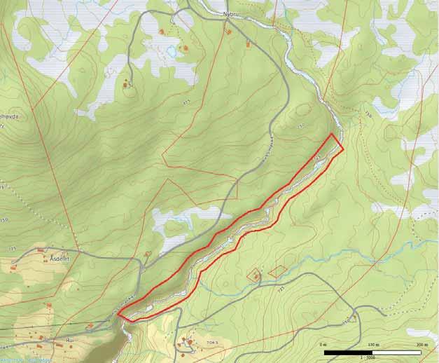 Figur 9: Kartet viser avgrensa naturtype 2 (rød strek) Gjuvå Øvre. Kartgrunnlag; www.gislink.no Beskrivelsen av naturtype 1 Gjuvå etter DN-håndbok 13 referert under, er hentet fra Klepsland (2009).