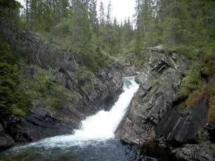 Figur 11: Utdrag av avgrenset naturtype i nedre del (venstre) med fossefall kote 700 (høyre). Fotos: Ole Roer 4.