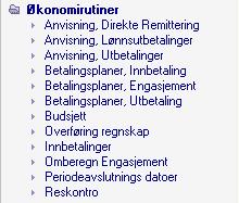 masseanvisning Spørrebilde/oversikt over innbetalingsplaner Vil bli behandlet i eget hefte Spørrebilde/oversikt over utbetalingsplaner Registrering av etatens budsjett Overføring av