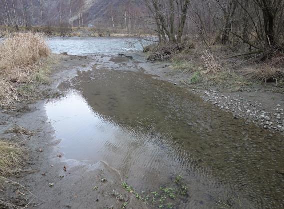 6) Eriskilen, et sideløp langs nordlig elvebredd på Eri, mot samløp i Lærdalselva like oppstrøms Wallendal og 7) Tønjumskvitli, sideløp langs