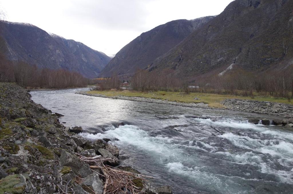 VEDLEGG Beskrivelse av vandringsrute ved visuell telling av anadrom fisk fra elvebredden om høsten i Lærdalsvassdraget og kartfesting av høler utdrag fra Sættem, L.M. 1998.