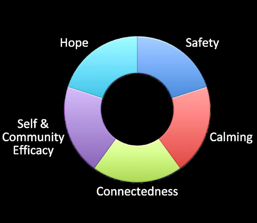 Umiddelbar krisehjelp Five Essential Elements of Immediate and Mid-Term Mass Trauma Intervention: Empirical Evidence