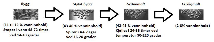 2.2 Teori malt 2.2.1 Malt Malt kan klassifiseres i to grupper: de med gode maltingsegenskaper og de som egner seg best til fôr.