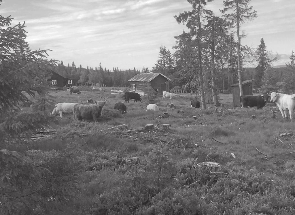 Årsmøte i Løtenfjellet Hytteeierforening Sted: Budor Gjestegård Dato: 28. februar 2015 Til stede: 37 medlememr Referent: Ruth Stenseth Dagsorden: Sak 1. Godkjenning av innkalling. Sak 2.