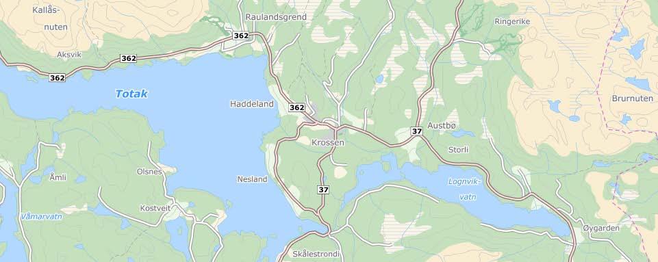 1 Bakgrunn for planarbeidet Detaljreguleringsplan for Nordtunbakkan 1.1 Prosjektet Gunhild Gardsjord ynskjer i lengre tid å etablere eit bustadton for generasjonane 60+ i Nordtunbakkan.