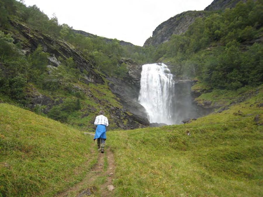 Figur 3.3 Drivandefossen med fosseengene i forgrunnen. Disse får gradvis mer preg av naturbeitemark lenger bort fra fossen.