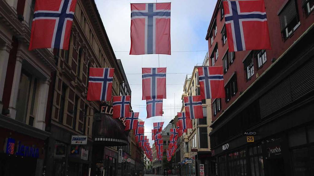 Den norske lov definerer proporsjonene til flagget, men definerer ikke fargene i et standardisert fargesystem. Derfor kan alle norske flagg i bruk ha toneforskjeller fra et til et annet.