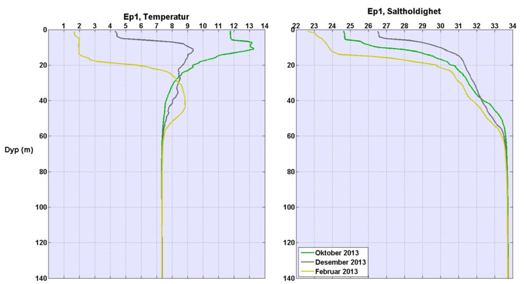 Endringene i temperatur og saltholdighet er derfor ikke like store (eller raske) i bunnvannet som for overflatelaget.