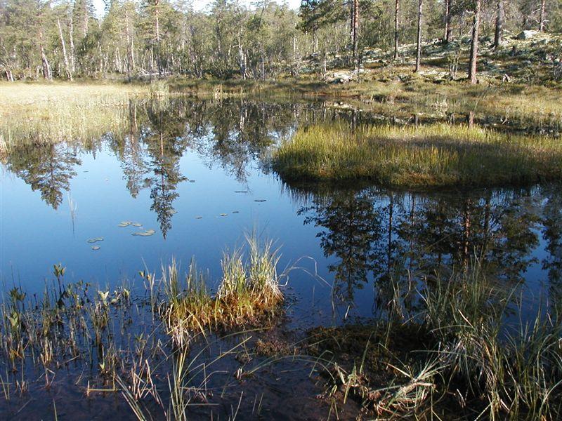 Bilder fra området Aursjøvola I vest finnes tre