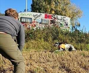 8.slipp: Tempo Begge jakter meget godt. Tempo har stand, justerer seg og støkker fasan. Er rolig. Senere letter fasan i tett biotop og vi finner begge hundene i ro i samme område.