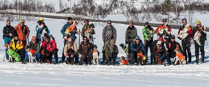 Dreiebok Sør-Norsk Unghundmesterskap finale Hovden 30.04.2017 Finalepartiet drar til terrenget Bjåen/Lislefjødd, i strålende sol og ni minusgrader.