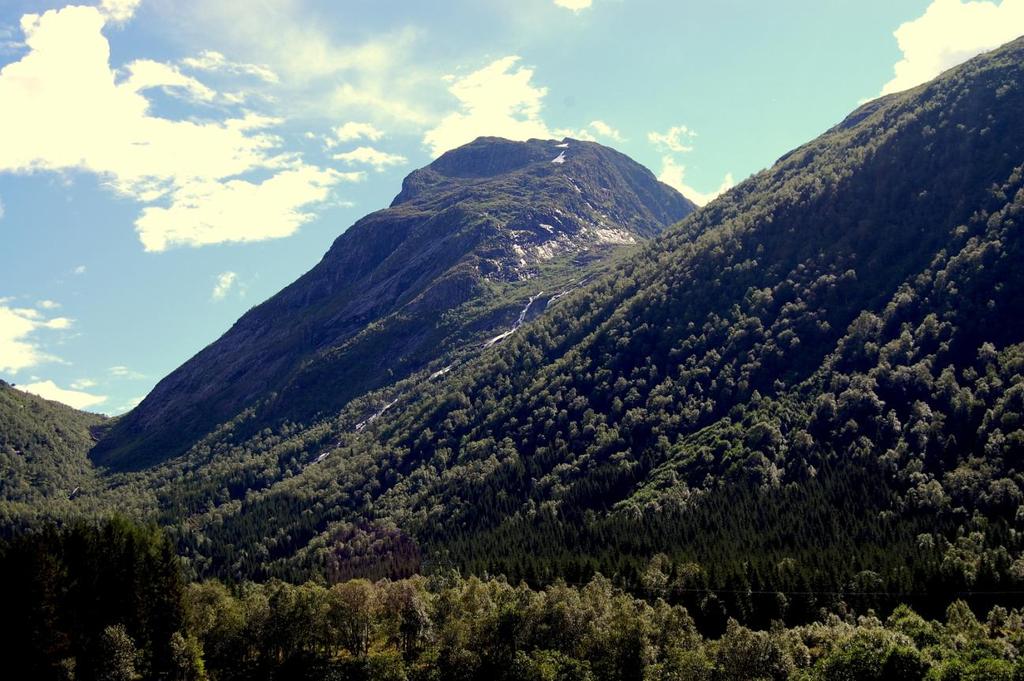 Høydalen sett fra nordsiden av Austefjorden.