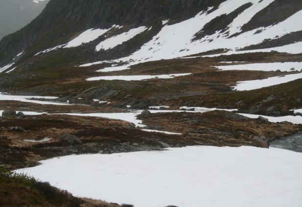 Menneskelig påvirkning Menneskelig påvirkning i området er i hovedsak knyttet til jord- og skogbruk. I denne delen av vassdraget er det ikke større tekniske inngrep.