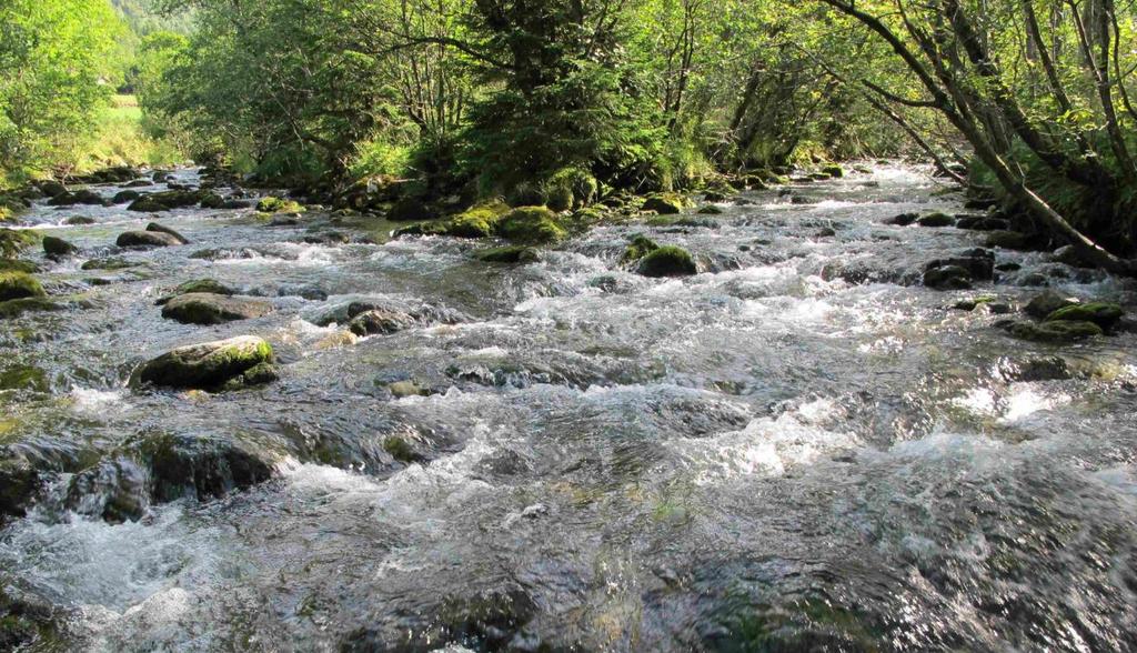 Høydalen kraftverk AS 30. oktober 2012 19 Figur 14. Stasjon 1 ligg i elvemøtet mellom Storelva og Øggardselva, og 30 meter opp gjennom Øggardselva til høgre.