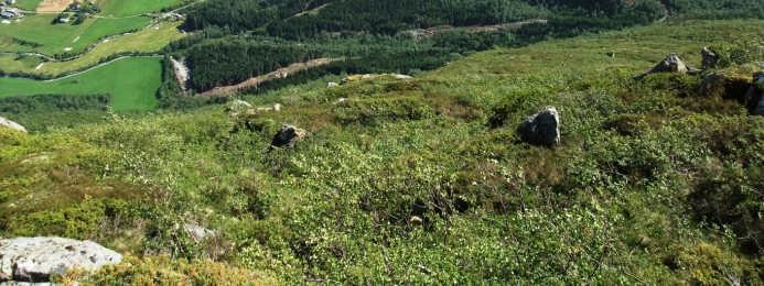 LINJE MELLOM ØRSKOG OG FARDAL.