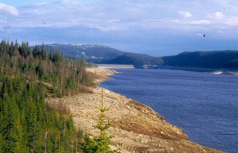 Habitatbruk, ernæring og vekst for ørret Salmo trutta, sik Coregonus lavaretus og abbor Perca fluviatilis i Dokkfløymagasinet, Oppland fylke, 12 år etter oppdemmingen Habitat use, diet, and growth of