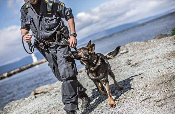 POLITIETS FELLESFORBUND SOM KRIMINALPOLITISK AKTØR 6 7 POLITIETS FELLESFORBUND SOM KRIMINALPOLITISK AKTØR Politiets Fellesforbund er en sentral premissleverandør i kriminalpolitikken Vi mener at