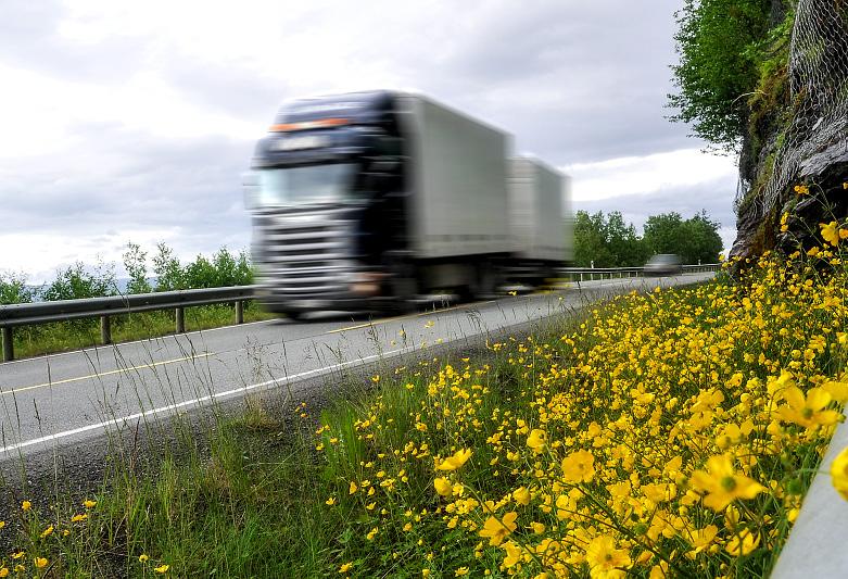 Vegdirektoratet Transportavdelingen